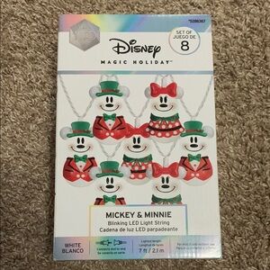 Disney Magic Holiday Mickey & Minnie Blinking LED Light String